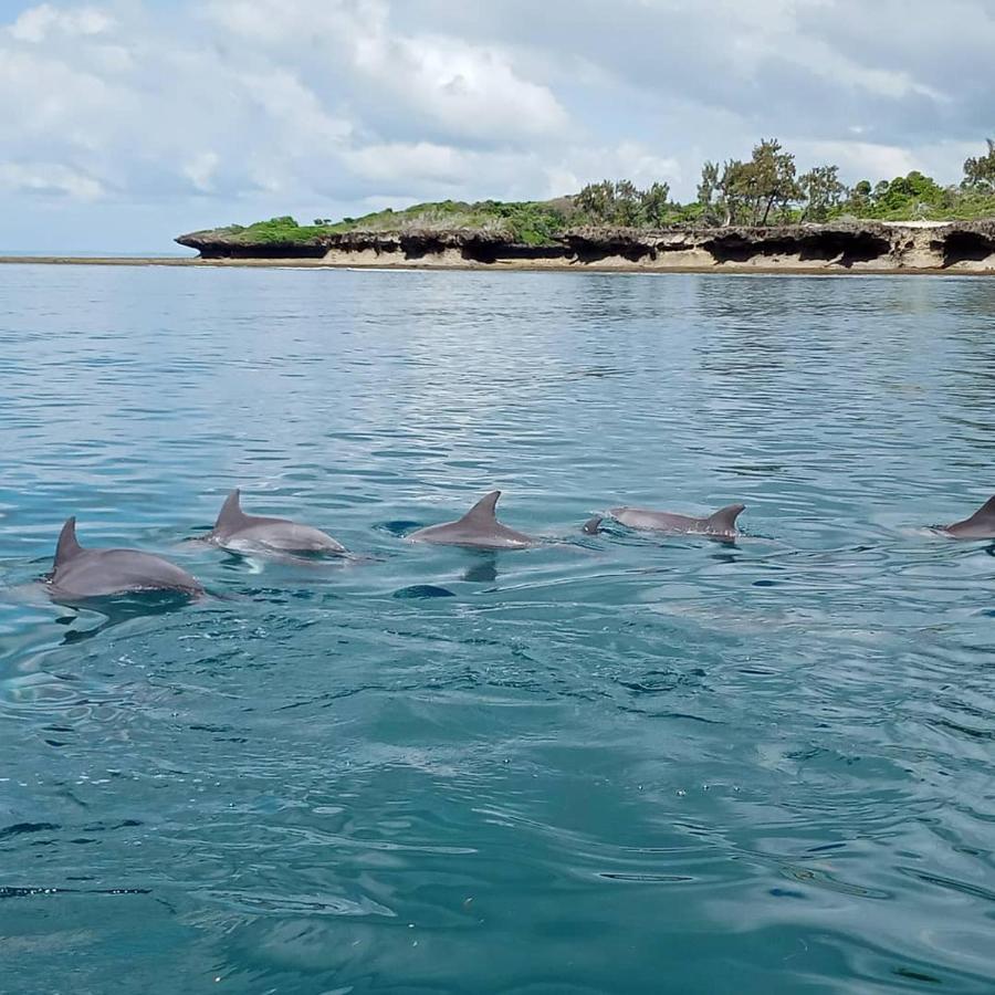 Wasini Raha Snorkeling And Diving Apartment Exterior photo